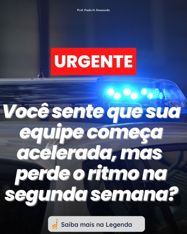 desenvolvimento comportamental dos Consultores